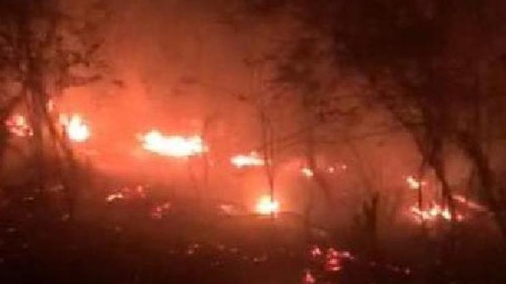 Kandıra’da ormanlık alanda çıkan yangın söndürüldü