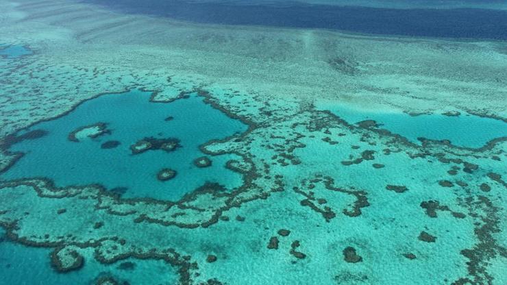 Dünyanın en büyük mercan kayalığı sistemi tehlikede: BM raporuna Avustralyadan eleştiri