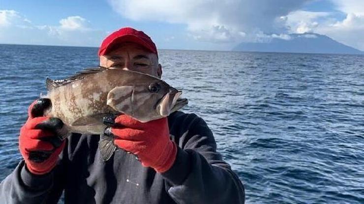 Kuzey Ege Denizinde uzun yıllar sonra  ak lagos balığı yakalandı