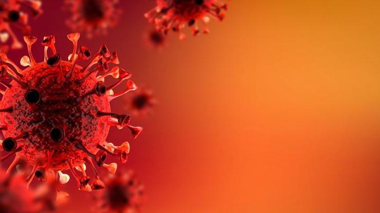 DSÖden korkutan koronavirüs açıklaması: Bir milyondan fazla insan ölebilir