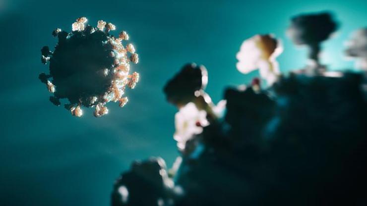 Tam da kış gelmişken Çinde korkutan koronavirüs verileri