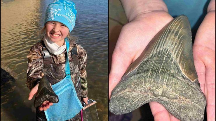 9 yaşındaki fosil avcısından önemli keşif