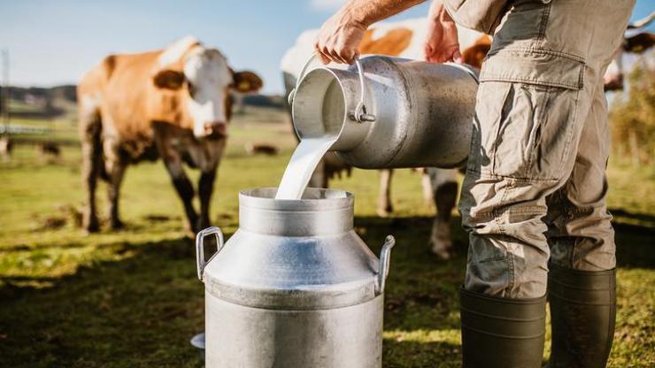 Süt fiyatı neden arttı Artış devam edecek mi