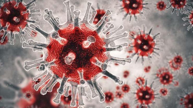 Uzman isim uyardı: HIV virüsü bağışıklığı düşürdüğü için Tüberküloz mikrobu aktif hale geliyor