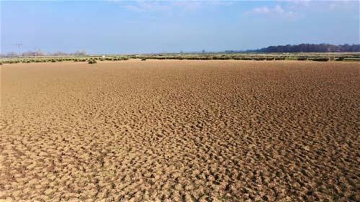 Kızılırmak Deltasında kuraklık tehlikesi: Çölü andıran manzaralar