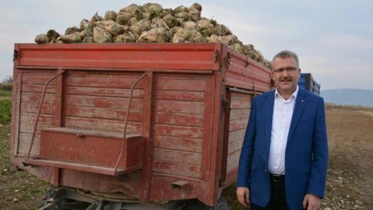 Karacabey TİGEM arazisinde şeker pancarı hamlesi