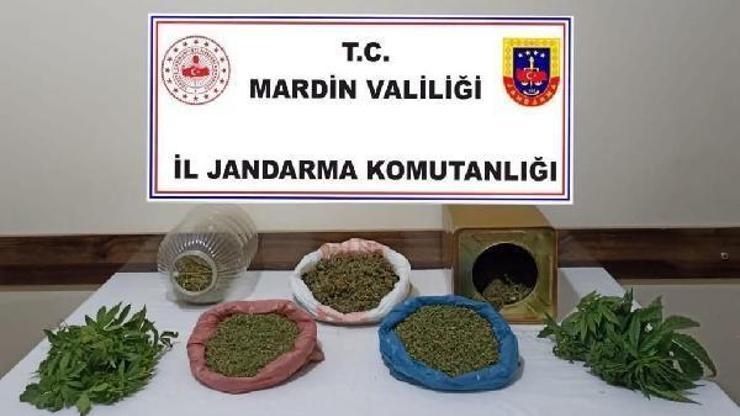 Mardinde uyuşturucu operasyonu: 1 gözaltı