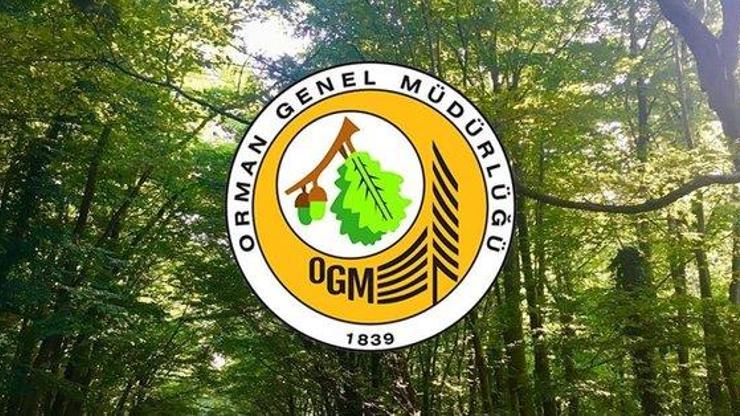 OGM personel alımı başvuru ekranı 2023: Orman muhafaza memur alımı başvurusu nasıl yapılır, şartları neler
