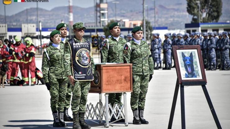 Proteo için Meksika’da anma töreni