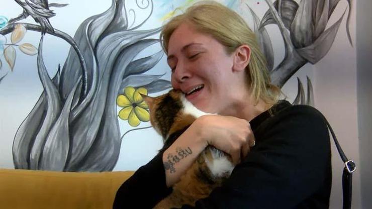 Depremden kurtulan kedisi Minyona, 21 gün sonra kavuştu