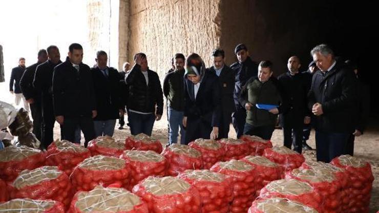 Vali Yiğitbaşı, doğal soğuk hava depolarını inceledi