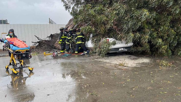 California’da sel ve fırtına 2 can aldı: Ağaçlar yollara devrildi, tarım arazileri sular altında...