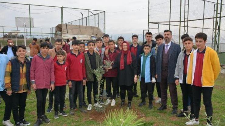 Kocaeli’den Silopi’deki öğrenciler yararına zeytin ağacı