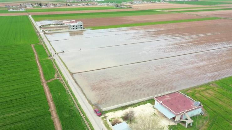 Harran Ovası su altında kaldı Sel felaketinden sonra tarlalar göle döndü