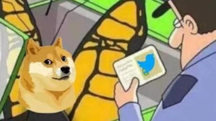 Twitter logosundaki köpek nedir Dogecoin için Twittera köpek logosu geldi Twitter köpek anlamı