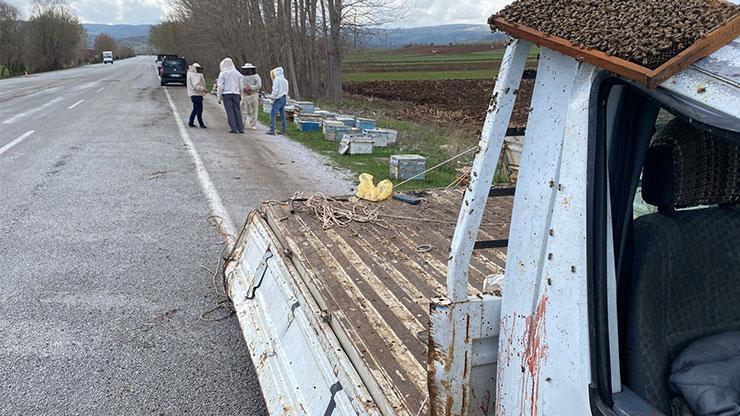 Kovan yüklü kamyonet devrildi; arılar yola saçıldı