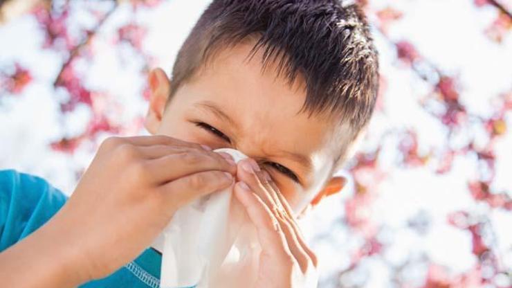 Polen alerjisine karşı bunlara dikkat