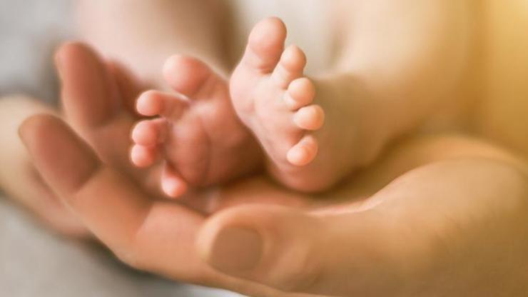 En az 550 çocuğun babası olan sperm bağışçısına yasak