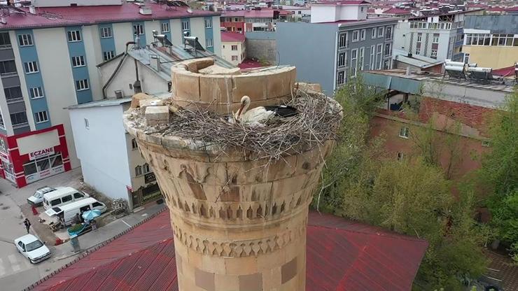 Depremde ağır hasar alan minare leyleklere yuva oldu