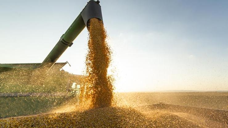 Dünya Gıda Programı Başkanından uyarı: Ukrayna tahıl anlaşması uzamazsa, dünyayı doyurmamız zor
