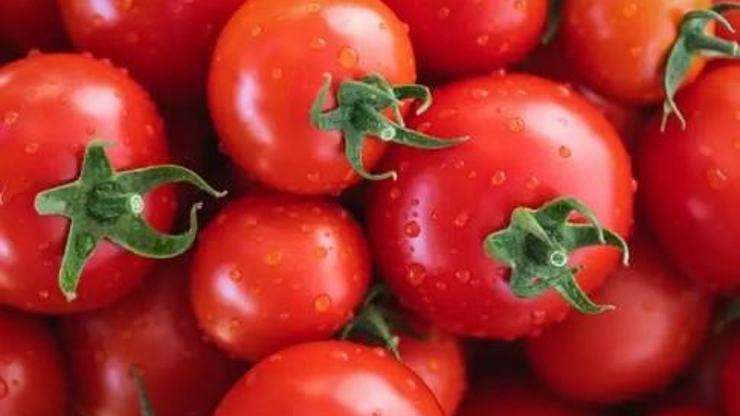 Her öğünde tükettiğiniz domatesin tehlikesi büyük
