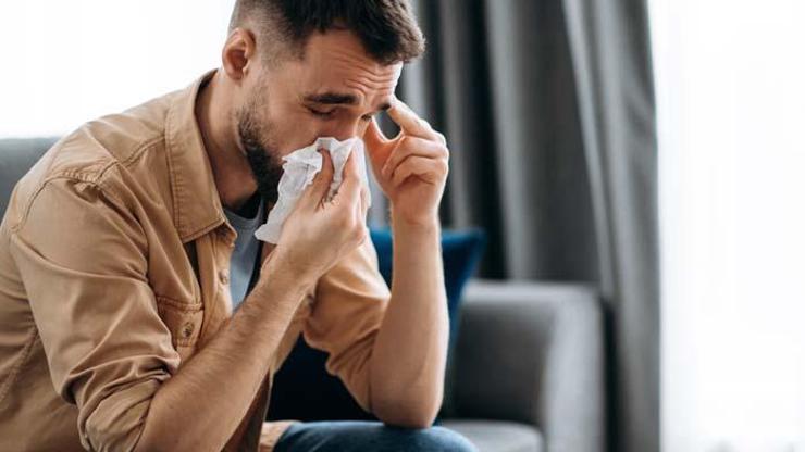 Yazın gelmesiyle birlikte alerjik rinit şikayetleri arttı Korunmak için tavsiyeler