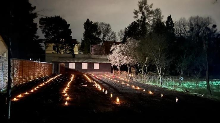 Polonyada İkinci Dünya Savaşı döneminden kalma toplu mezar bulundu