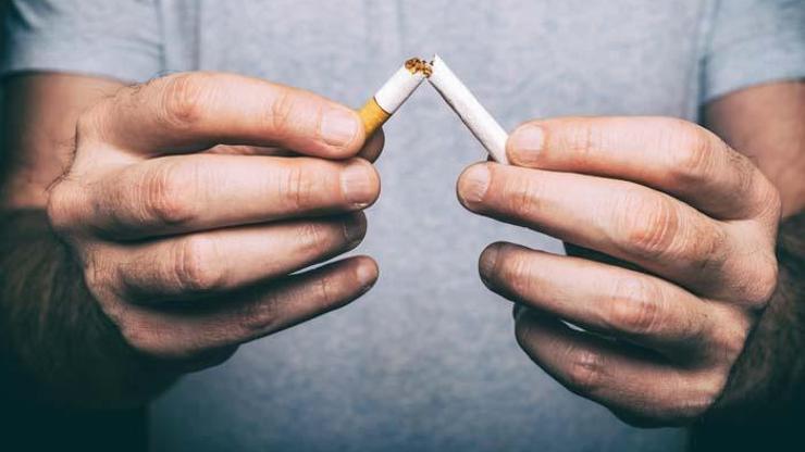 DSÖ: 30’larında sigarayı bırak 10 yıl uzun yaşa Sigarayı bıraktıktan sonra vücutta neler oluyor