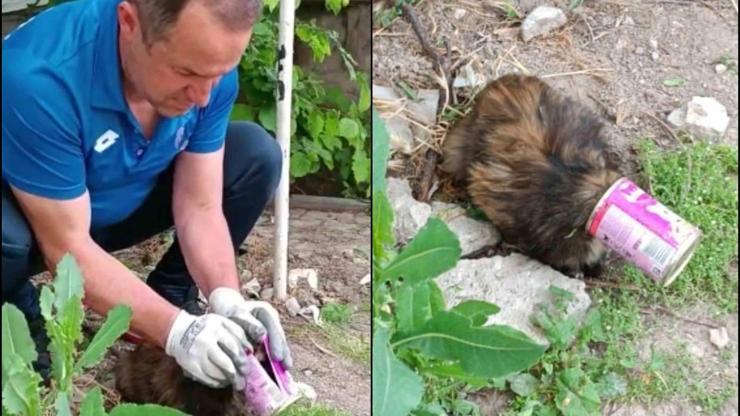 Kayseride itfaiye ekipleri, başı konserve kutusuna sıkışan kediyi kurtardı
