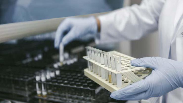 Geleceğin bütünsel tıp yaklaşımı: Fonksiyenel tıp