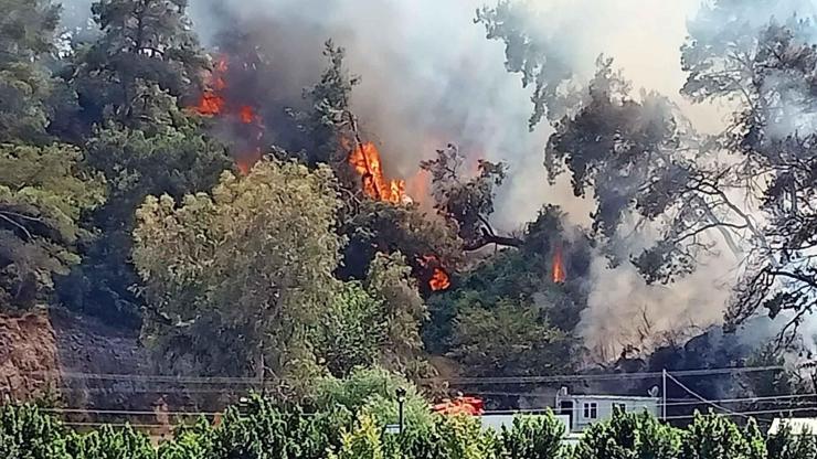 Antalyadaki orman yangını kontrol altına alındı: Soğutma çalışmaları sürüyor