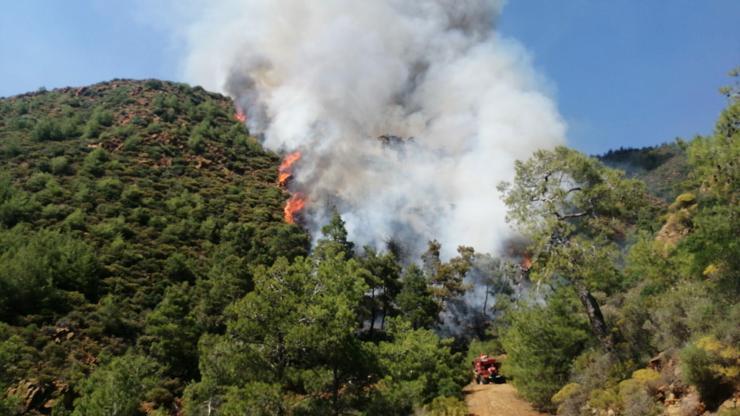 Marmariste orman yangını: Ekipler kontrol altına aldı