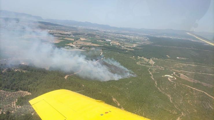 İzmir’de orman yangını: Kontrol altına alındı