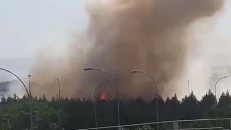 Diyarbakır Havalimanı yanındaki ormanda yangın