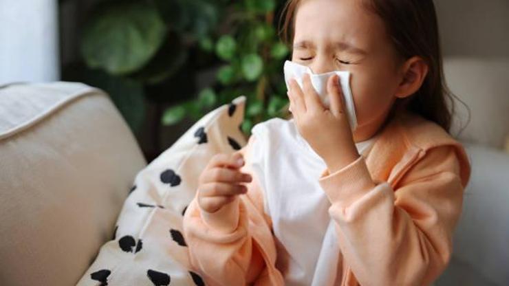 İklimsel değişiklikler alerji şiddetini artırıyor
