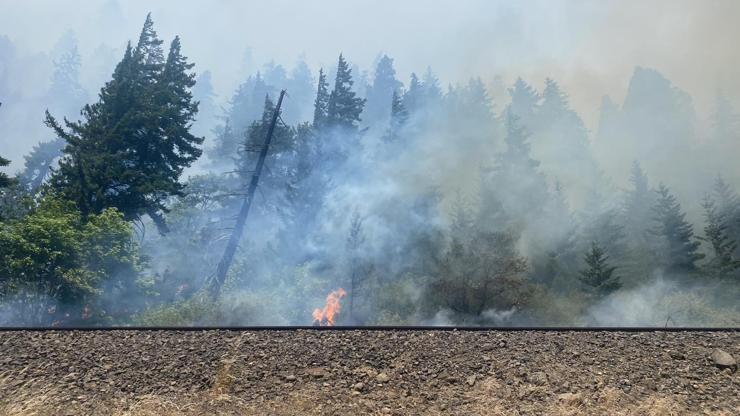 ABD’de orman yangını: 10 ev yandı, 540 dönüm alan küle döndü
