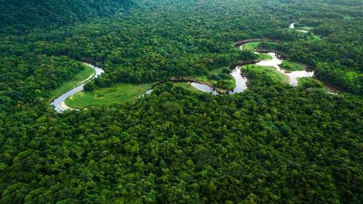 Brezilyada Amazonlardaki ormansızlaşma 2023te üçte bir azaldı