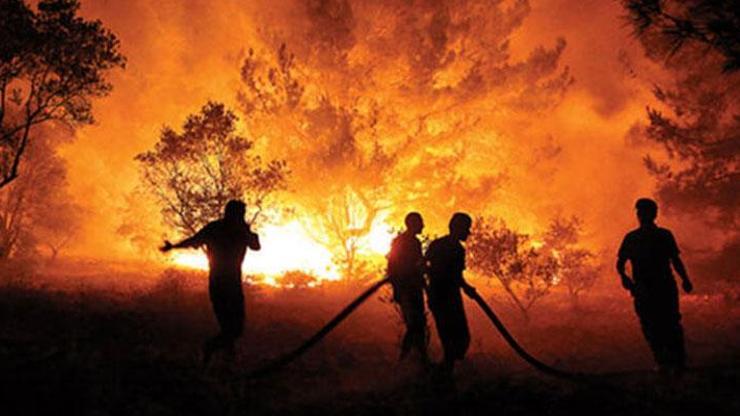 Orman yangınları ile mücadele sürüyor Bir ilde daha yasaklandı