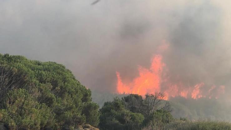 Gökçeada’da orman yangını Havadan ve karadan yangına müdahale sürüyor