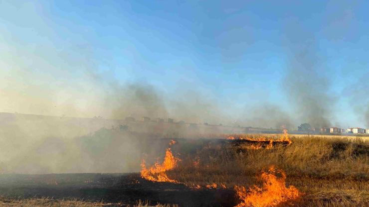 Malatya’da anız yakılması yasaklandı