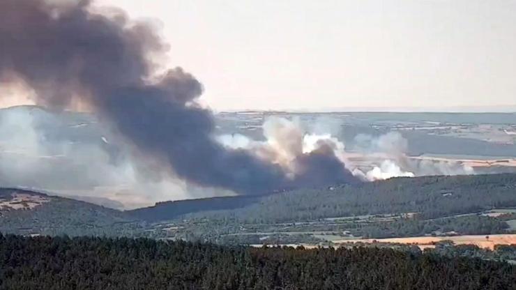 Tekirdağda orman yangını: Ekiplerin yangına müdahalesi sürüyor