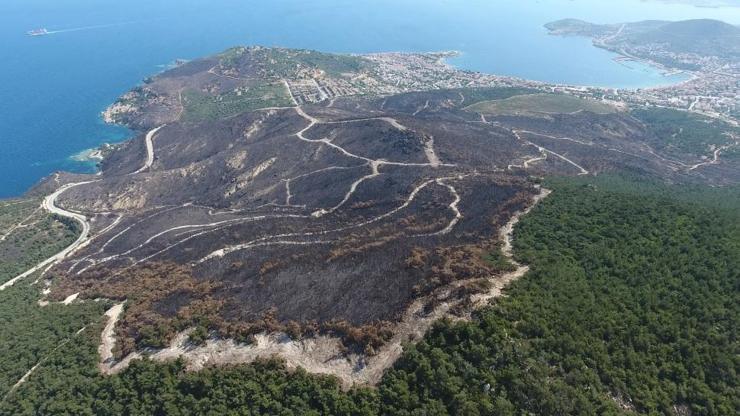 20 günde 295 orman yangını: 3 bin 160 hektar alan zarar gördü