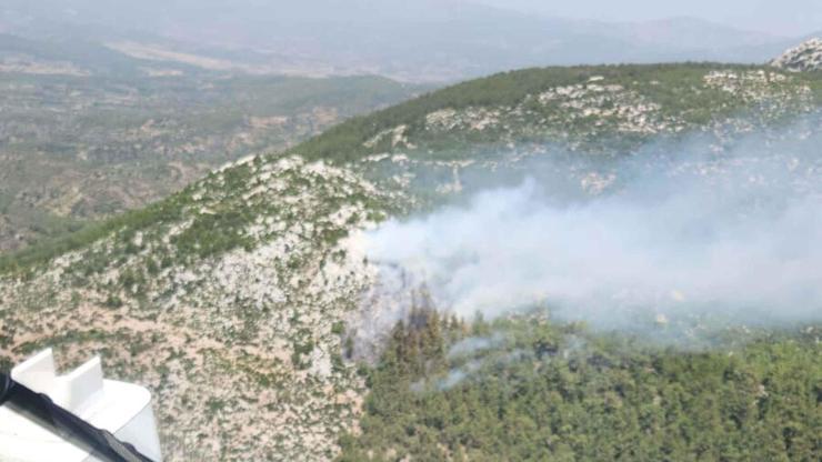 Muğla Milastaki orman yangını kontrol altına alındı