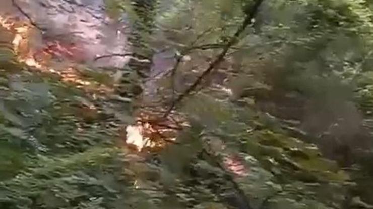 Bursa’da orman yangını; helikopterle müdahale ediliyor