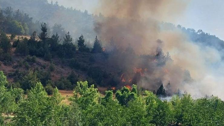 Kahramanmaraşta orman yangını: Çok sayıda ekip, bölgeye sevk edildi.