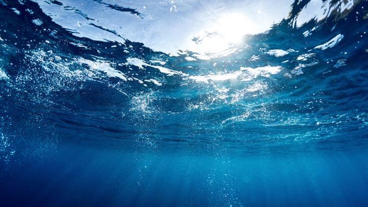 Gezegende yeni rekor: Florida okyanusu, jakuzi sıcaklığına ulaştı