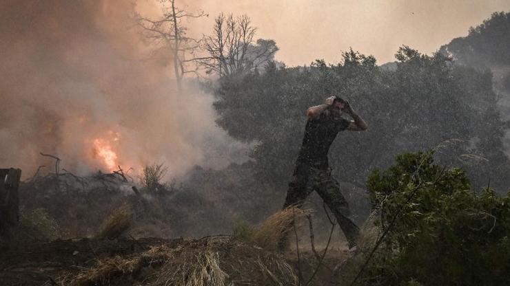 Akdeniz’i kasıp kavuran orman yangınları: Cezayir’de 34, Yunanistan’da 3 can kaybı