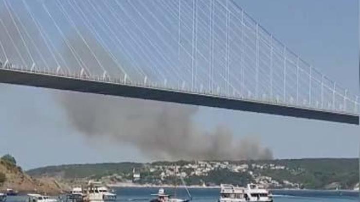 İstanbul, Beykozda orman yangını