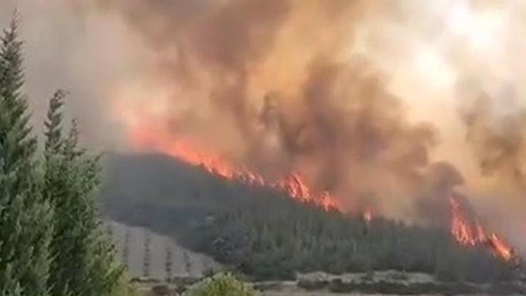 İzmirde orman yangını: 3 mahalle tahliye edildi