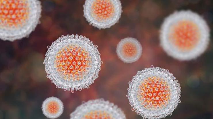 Kronik viral hepatitler önlenebilir ve tedavi edilebilir hastalıklardır